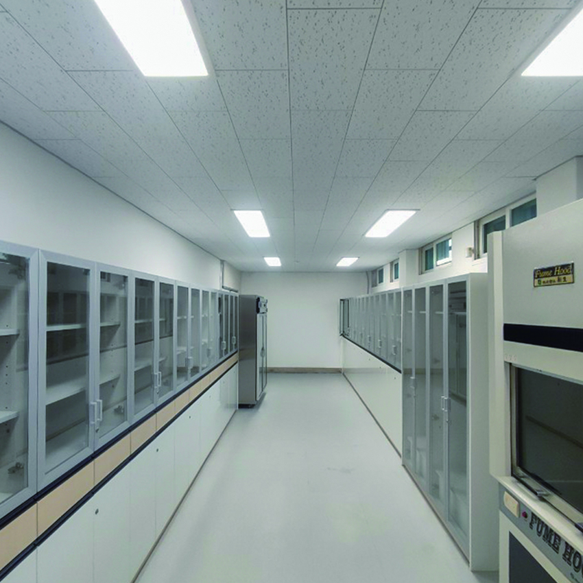 Colorlib Template